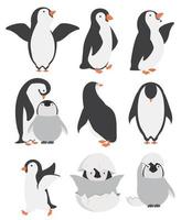 gelukkige pinguïn en kuikens karakters in verschillende poses set vector