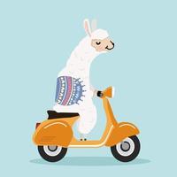 schattige alpaca met gele scooter vector