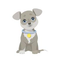 schattig grijs puppy zittend met blauw ogen vector