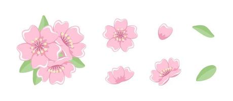 een reeks van kers bloesem bloeiend illustraties. bloemen clip art ontwerp elementen vector