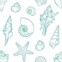 schelpen en zeester naadloos patroon achtergrond vector illustratie. schattig aquatisch marinier leven tekening achtergronden