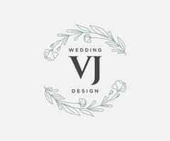 vj initialen brief bruiloft monogram logos verzameling, hand- getrokken modern minimalistisch en bloemen Sjablonen voor uitnodiging kaarten, opslaan de datum, elegant identiteit voor restaurant, boetiek, cafe in vector