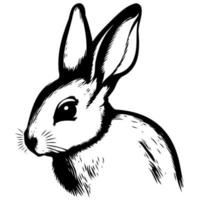 dier hoofd zoogdier konijn konijn vector