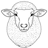 dier zoogdier schapen hoofd vector