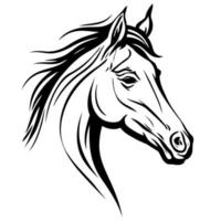 paarden paard dier hoofd vector