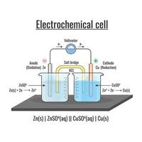 elektrochemisch cel of galvanisch cel met voltmeter en de functie van zout brug vector