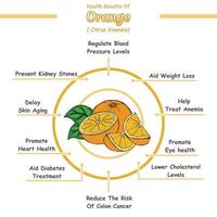 Gezondheid voordelen van een oranje vector