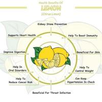 Gezondheid voordelen van een citroen vector