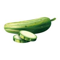 geïsoleerd komkommer groente vector ontwerp