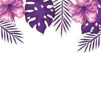 decoratie van hibiscusbloemen met takken en bladeren, tropische aard, botanische lentezomer vector