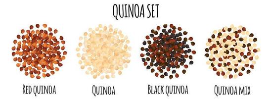 quinoa reeks met rood, wit, zwart en mengen quinoa. vector