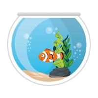 aquarium anemoonvis met water, zeewier, aquarium zeehuisdier vector