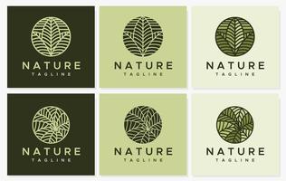 blad lijn cirkel logo ontwerp set. modern natuur lijn logo sjabloon verzameling. vector
