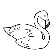 zwart en wit vector illustratie van flamingo