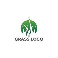 groen smaragd gras schoon logo ontwerp vector