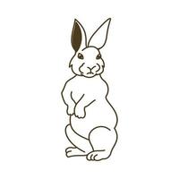 konijn vector pictogram illustratie ontwerp