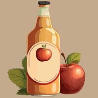 fles van appel cider drinken vector