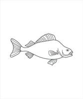 illustratie van een vis lijn kunst Aan wit vector