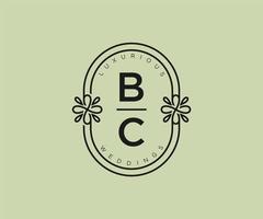 bc initialen brief bruiloft monogram logos sjabloon, hand- getrokken modern minimalistisch en bloemen Sjablonen voor uitnodiging kaarten, opslaan de datum, elegant identiteit. vector