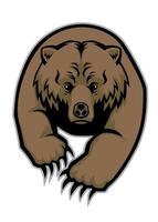 grizzly beer mascotte vector