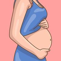 de zwanger moeder vector is perfect voor stickers en onderwijs