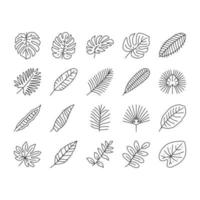 palm blad zomer fabriek groen pictogrammen reeks vector