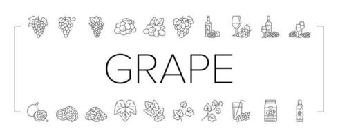 druif wijn bundel fruit groen pictogrammen reeks vector