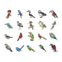 vogel exotisch dier natuur wild pictogrammen reeks vector