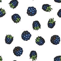 braam fruit BES zwart voedsel vector naadloos patroon