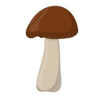 shiitake paddestoel. eetbaar biologisch champignons. truffel bruin kap. Woud wild champignons soorten. kleurrijk vector illustratie geïsoleerd Aan wit achtergrond.