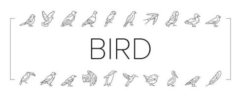 vogel vliegend dier met veer pictogrammen instellen vector