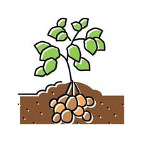 fabriek aardappel groente kleur icoon vector illustratie