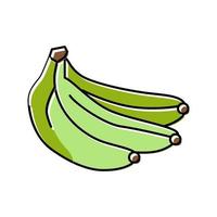 groen banaan kleur icoon vector illustratie