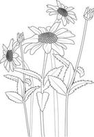bloemen Afdeling van madeliefje bloem hand- tekening vector illustratie wijnoogst ontwerp elementen boeket bloemen natuurlijk verzameling