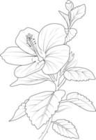 mooi monochroom zwart en wit boeket hibiscus geïsoleerd Aan wit. hand getekend ontwerp groet kaarten en uitnodigingen voor de bruiloft, verjaardagen, Valentijnsdag dag, moeder dag, vector