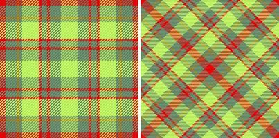 structuur kleding stof tartan. controleren patroon textiel. vector achtergrond plaid naadloos.