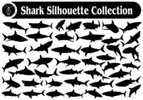 dier haai silhouet vector verzameling