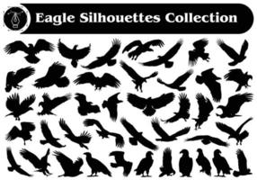 dier vogel adelaar silhouet vector verzameling