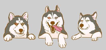 schattig tekenfilm gluren Siberisch schor hond reeks vector