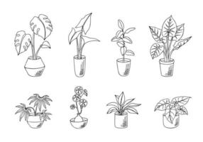 reeks van tekening huis planten in potten geïsoleerd Aan wit achtergrond. hand getekend vector illustratie van binnen- planten voor label, omhulsel en andere botanisch ontwerp.