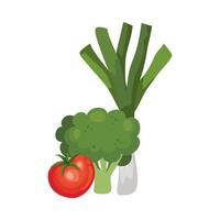 verse tomaat met broccoli en prei vector
