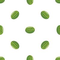 geheel watermeloen patroon naadloos vector