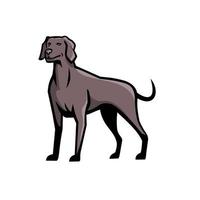 Weimaraner hondenras mascotte vector