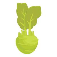 vers koolraap icoon tekenfilm vector. gezond groente vector