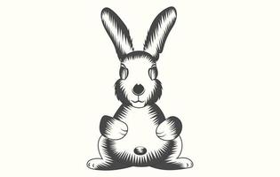 vector tekenfilm konijn.
