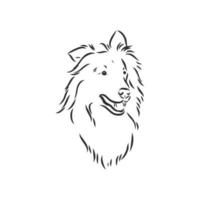 collie hond vector schets