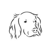 hond setter vector schetsen