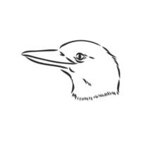 kookaburra vogel vector schetsen