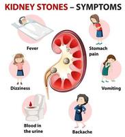 nierstenen symptomen cartoon stijl infographic vector