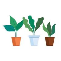 planten in potten vector design